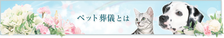 ペット葬儀とは